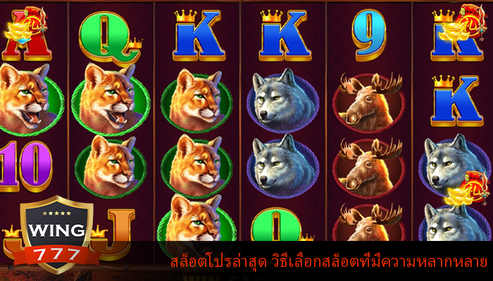 สล็อตโปรล่าสุด วิธีเลือกสล็อตที่มีความหลากหลาย