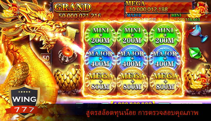 สูตรสล็อตทุนน้อย การตรวจสอบคุณภาพ